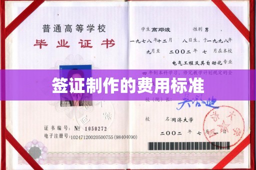 扎囊签证制作的费用标准
