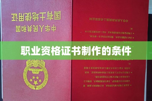 呼中职业资格证书制作的条件