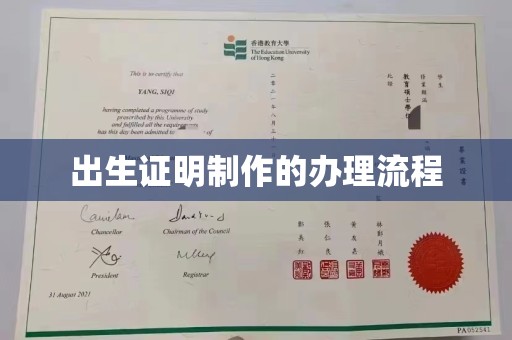 云安出生证明制作的办理流程